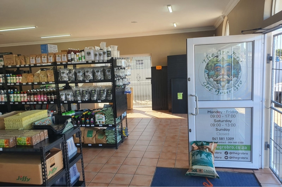 Commercial Property for Sale in Walmer Eastern Cape